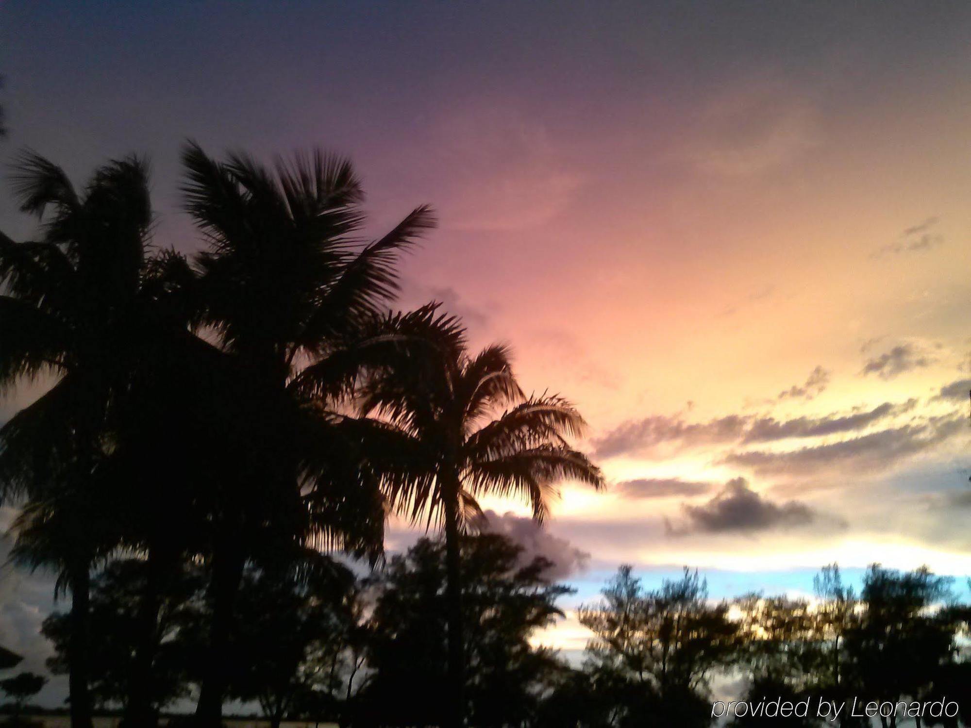 Sanibel Siesta Condo エクステリア 写真